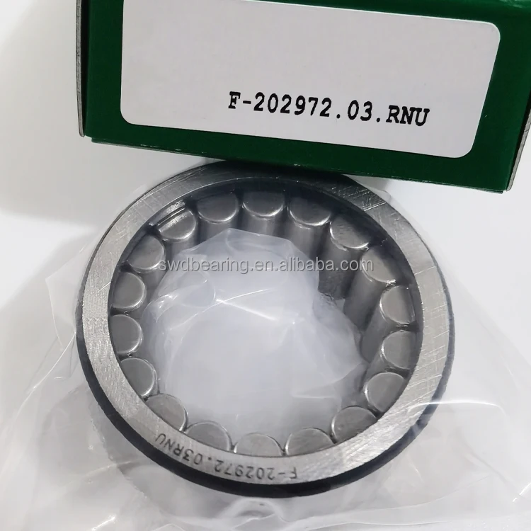 Original Bearing Rollers F-202972.03.RNU F-202972 Single Row Cylindrical Roller Bearings F-202972.03.RNU For Printer