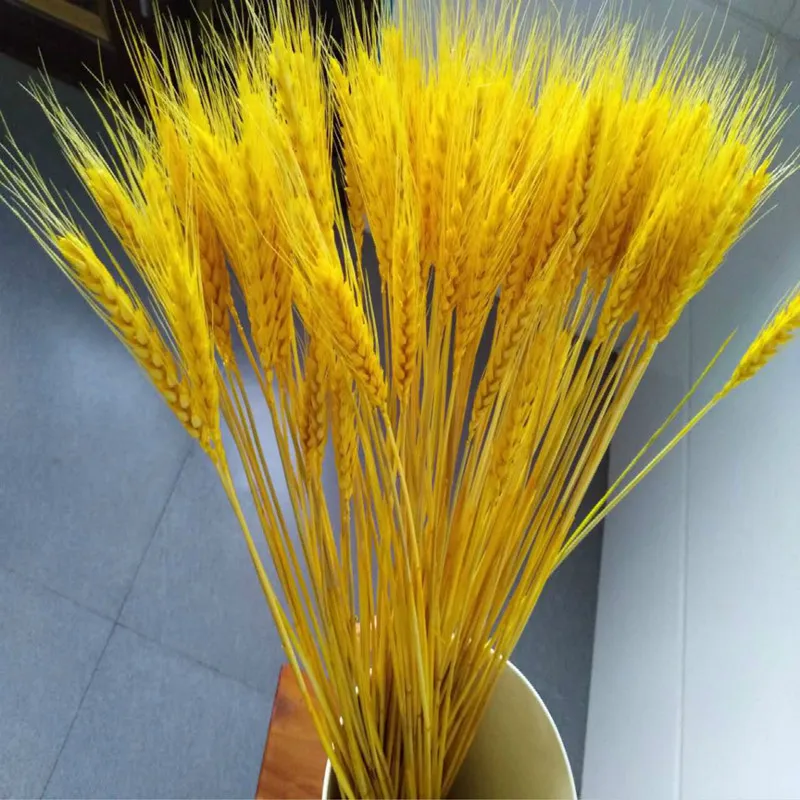 Hot Sale Natural Craft Dried Flower Real Golden Dry Wheat Flower For Decoration