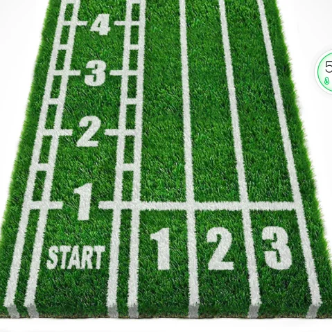 Greening Durable Artificial Turf Gym Grass 10 mm Plastic Lawn for Outdoor use