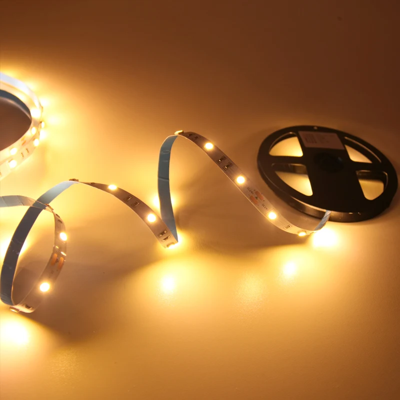 60LED 120LED White Red Green Blue 12V LED Strip Lights Waterproof SMD 2835 60LEDs/M Flexible LED Strip Tape Ribbon