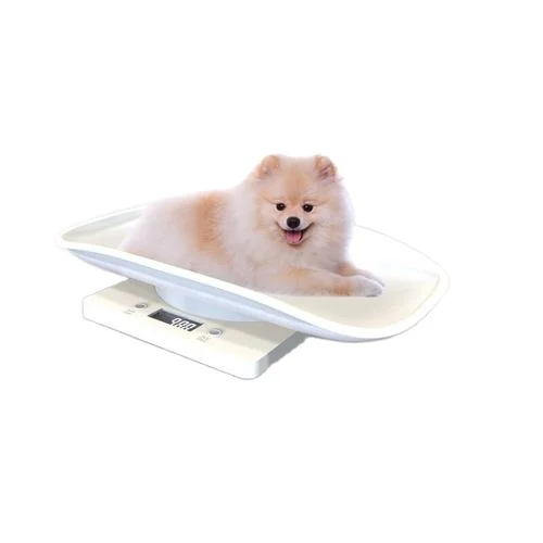 Portable Electronic Pet Scale Digital Display Measure Tool Infant Pet Newborn Baby Dog Cat SCALE 1g-10kg