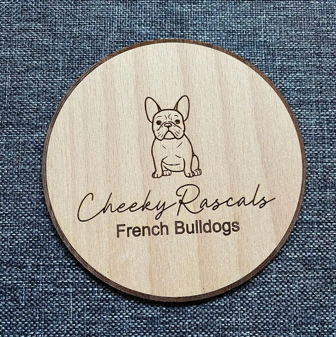 Wholesale custom designed fun decoration marking pet babies monthly digital milestone wooden cards