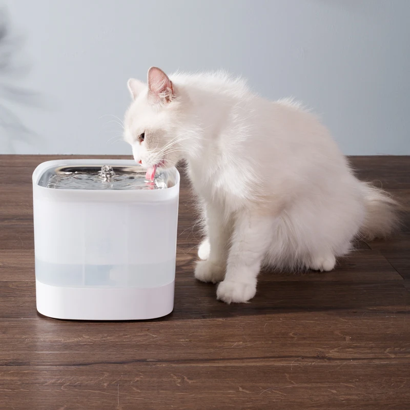 Pet cat water fountain pet automatic