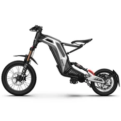 Titaone S 18inch fat tire electric bike 3000w 48v 75km/h top speed monster bicycle scooter