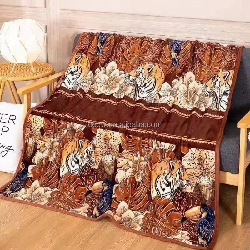 Famous Brand Fashionable Flannel Blanket Large Size Reversible Super Soft Warm Cozy Designer Blanket
