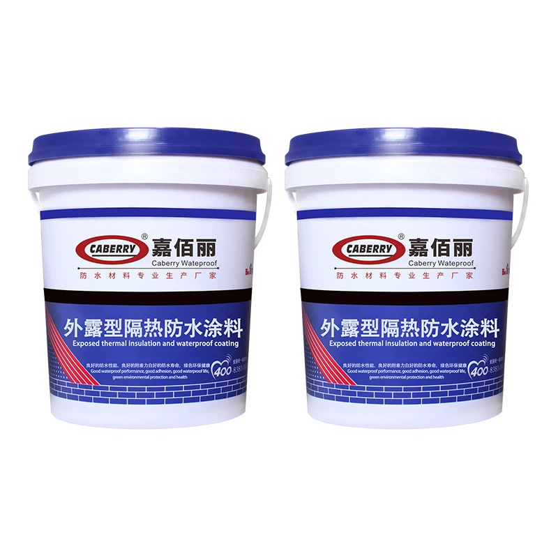 Source Manufacturer wholesale Caigang Tile Iron House Warehouse Roof Heat Insulation Reflection White Cooling Waterproof Paint