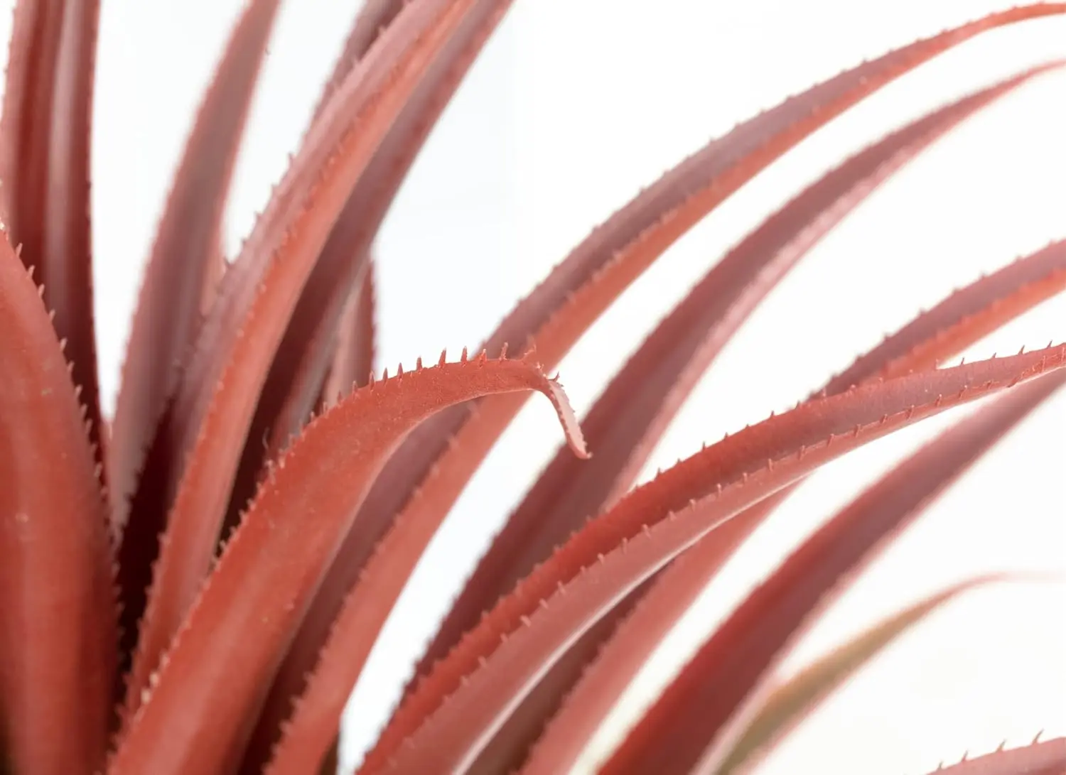 Factory Cheap Price 66CM 26 Inches Tall 61 Leaves Realistic Big Red Artificial Aloe Vera Plant Faux Agave With Matte Black Pot