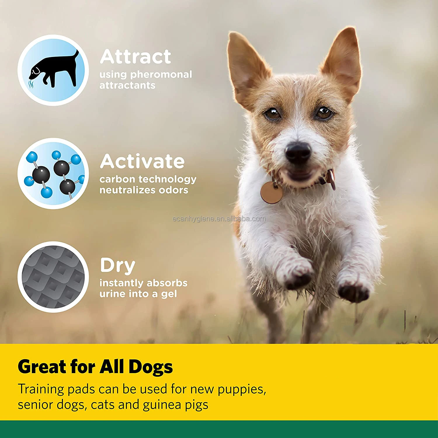 Cheap price disposable puppy pad activated carbon dog training pads with adhesive