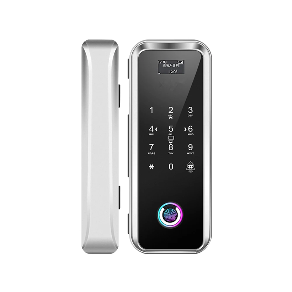 Remote Control Password Hotel Office Stainless Steel Latch Touchpad Smart Gate Glass Door Lock