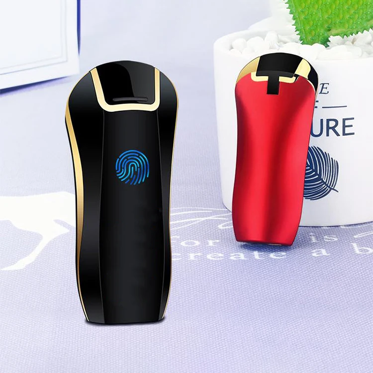 Factory Price Plasma Electronic Rechargeable Flameless Windproof Touch Switch Lighter for cigar