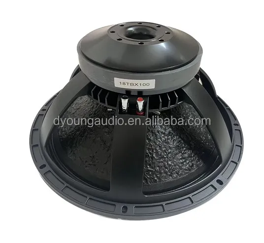 Single 18 double 18 inch speaker box outdoor subwoofer 220 mm magnet 100 mm coil loudspeaker 18TBX100