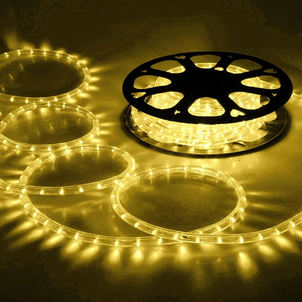 100m decoration led rope light  Waterproof RGB IC Addressable Remote LED Neon Rope Strip Lights