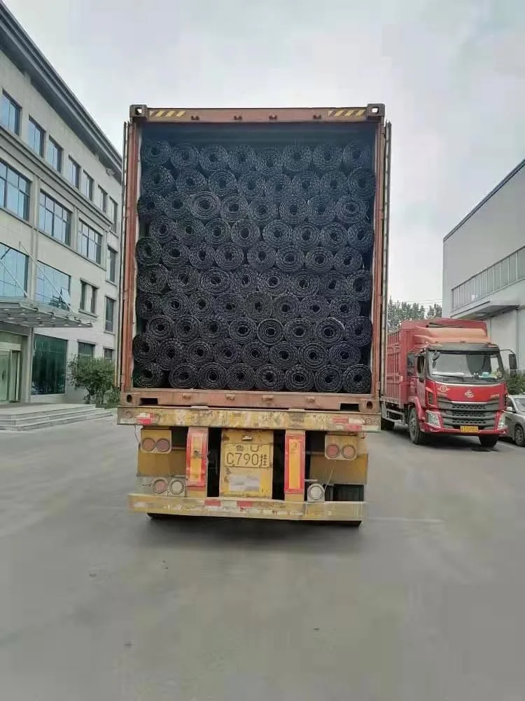 PP multiaxial biaxial geogrid for driveway and railways