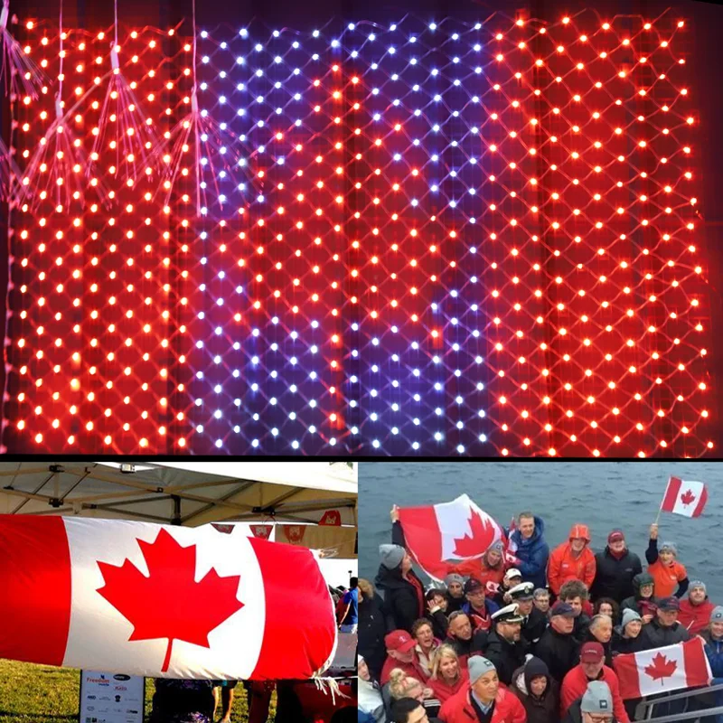 High Quality Give Out Light Plug Mesh String Light Flag Lights Of Various Countries For Yard Patio Pathway Decoration