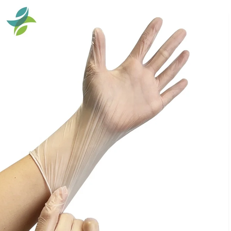 GMC PVC Gloves Household 100 pcs Latex Free Exam Gloves Powder Free  Disposable Vinyl Gloves