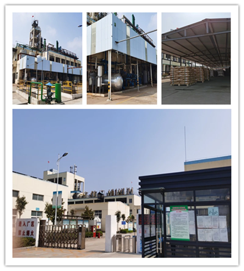 
high purity chemical medicine Cetilistat cas 282526-98-1 