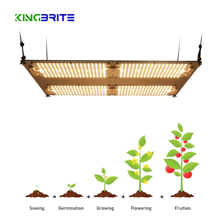  Kingbrite Samsung lm301h 480 Вт qb288 v3 светодиодная сельскохозяйственная лампа садоводческое оборудование для внутреннего