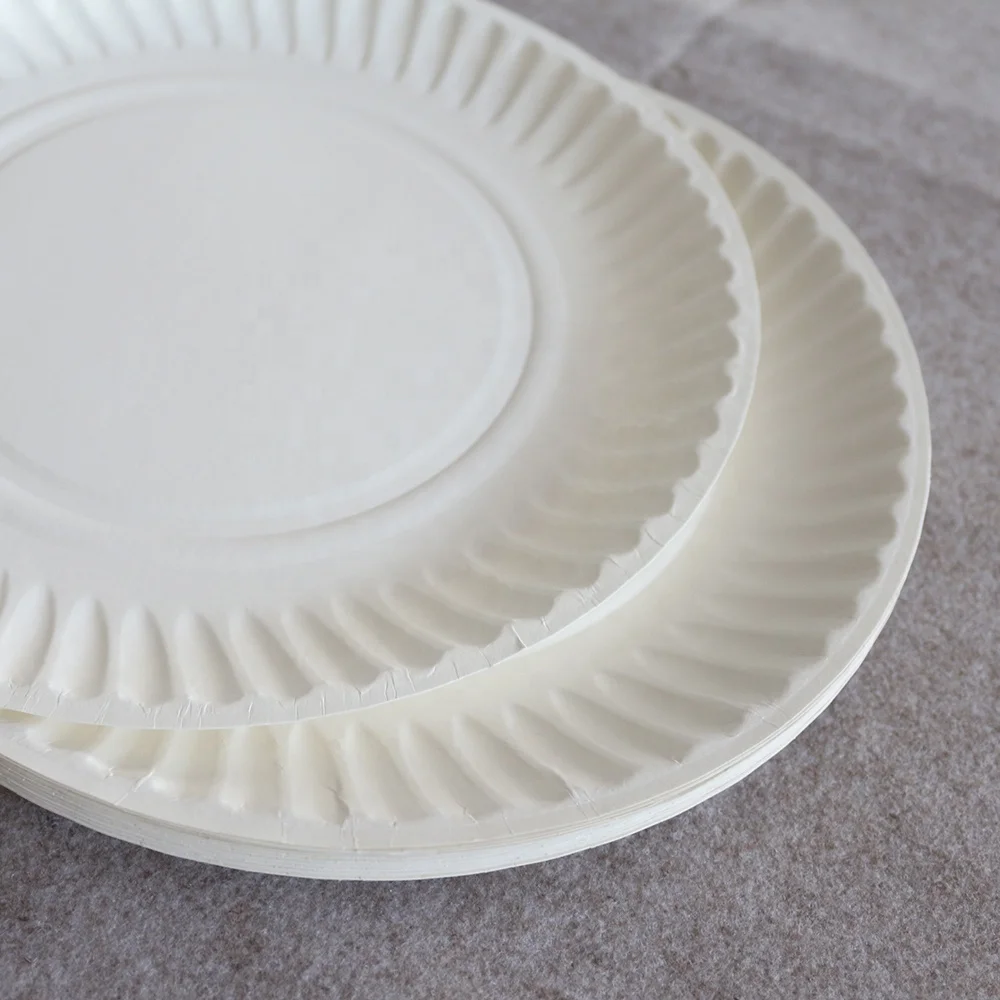 Factory Price 9 Inch White Paper Plates Disposable Eco-friendly Birthday Party Paper Plates