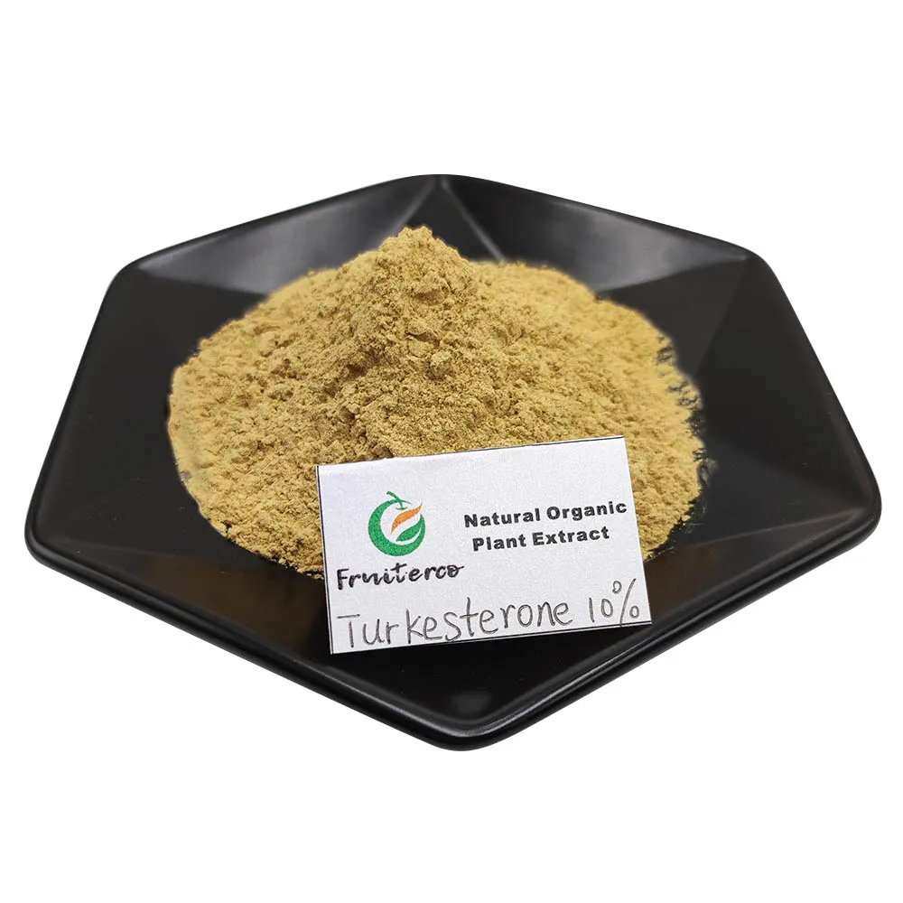 USP Ajuga turkestanica extract 10% Turkesterone Hydroxypropyl Beta Cyclodextrin Complex Turkesterone Powder