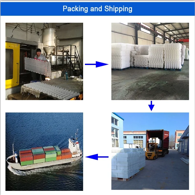 paste-pic-dp_uuid_g3lms