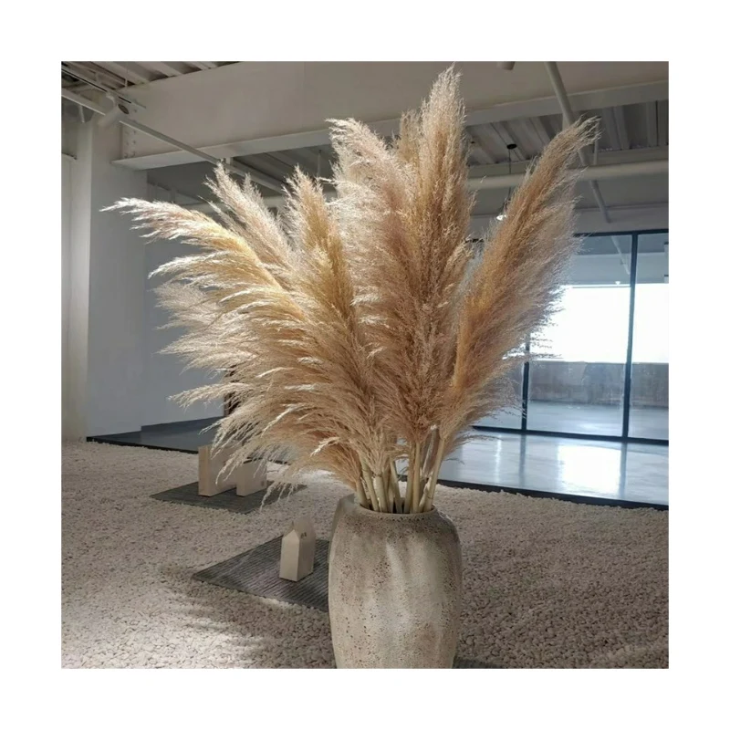 
Wholesale Dried Flower Pampas Grass For home Decoration 