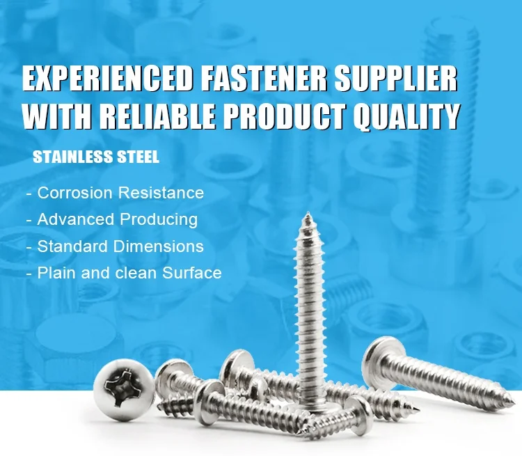 Metal Building Material Din7981Stainless Steel Pan Head Phillips Self Tapping Screw