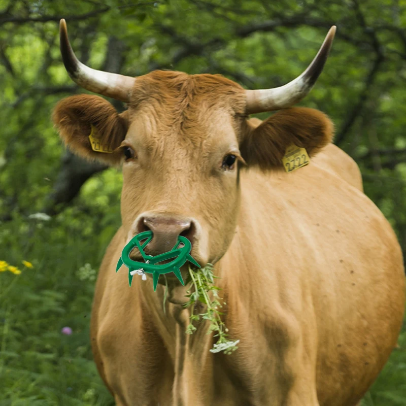 Farming Equipment Anti Sucking Bull Nose Rings Cow Calf Weaner Plastic Milking Stop Kit for Sale