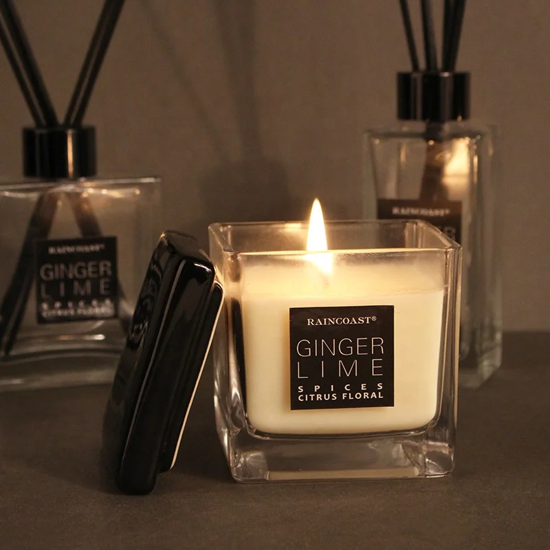 RAINCOAST 210G White Candle Simple Design Ceramic Custom Private Label Scented Candles