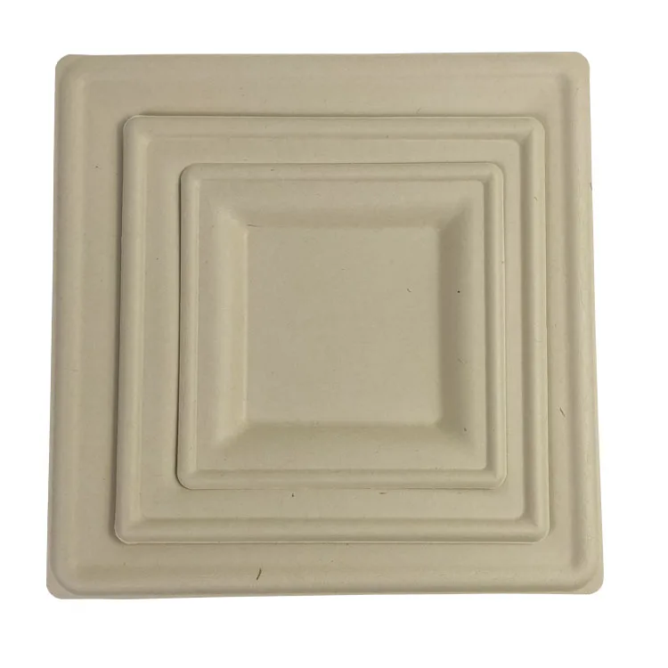 disposable compostable unbleached sugarcane bagasse pulp fiber 10 inch square plate