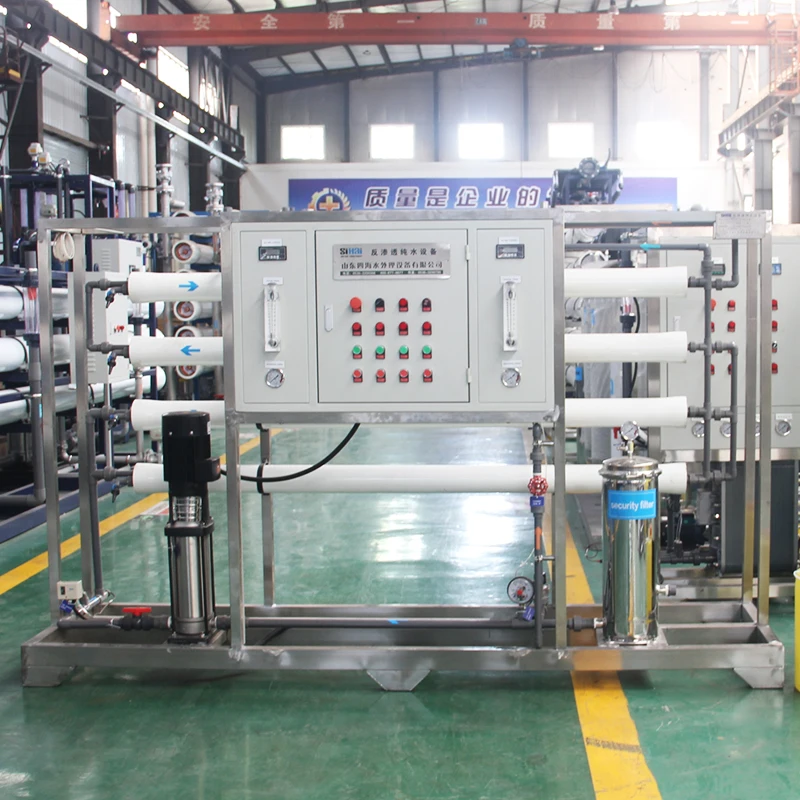 Ro Edi Water Treatment System Ro Hospital RO And EDI Ultrapure Water Treatment System
