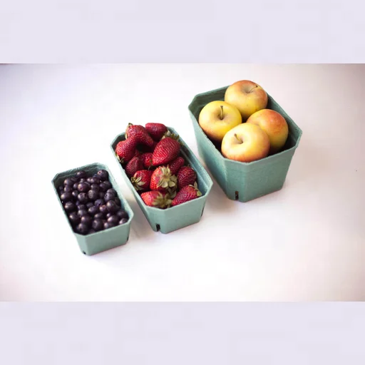 Eco-Friendly Pulp Fiber Berry Basket Container Strawberry Blueberries Tomatoes Biodegradable Paper Molded Pulp Vented Basket