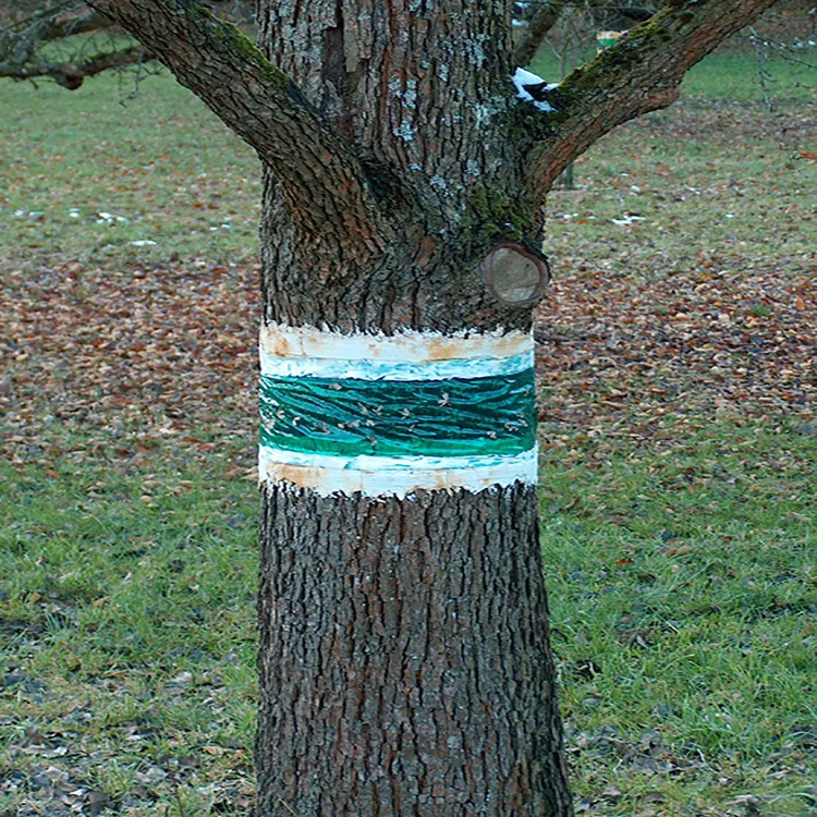 Outdoor insects glue band traps and the tree glue band for effective insect control Grease Band Traps