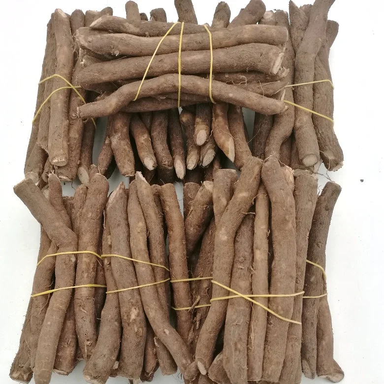 2020 новый урожай свежих корней павловнии для продажи