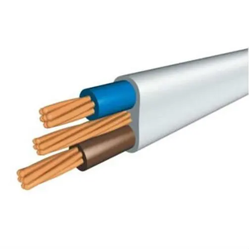 Customize BVVB 12/2 10/2 W/G TPS Flat Twin and Earth Cable Wire FTP 2.5mm Electrical Copper Wire