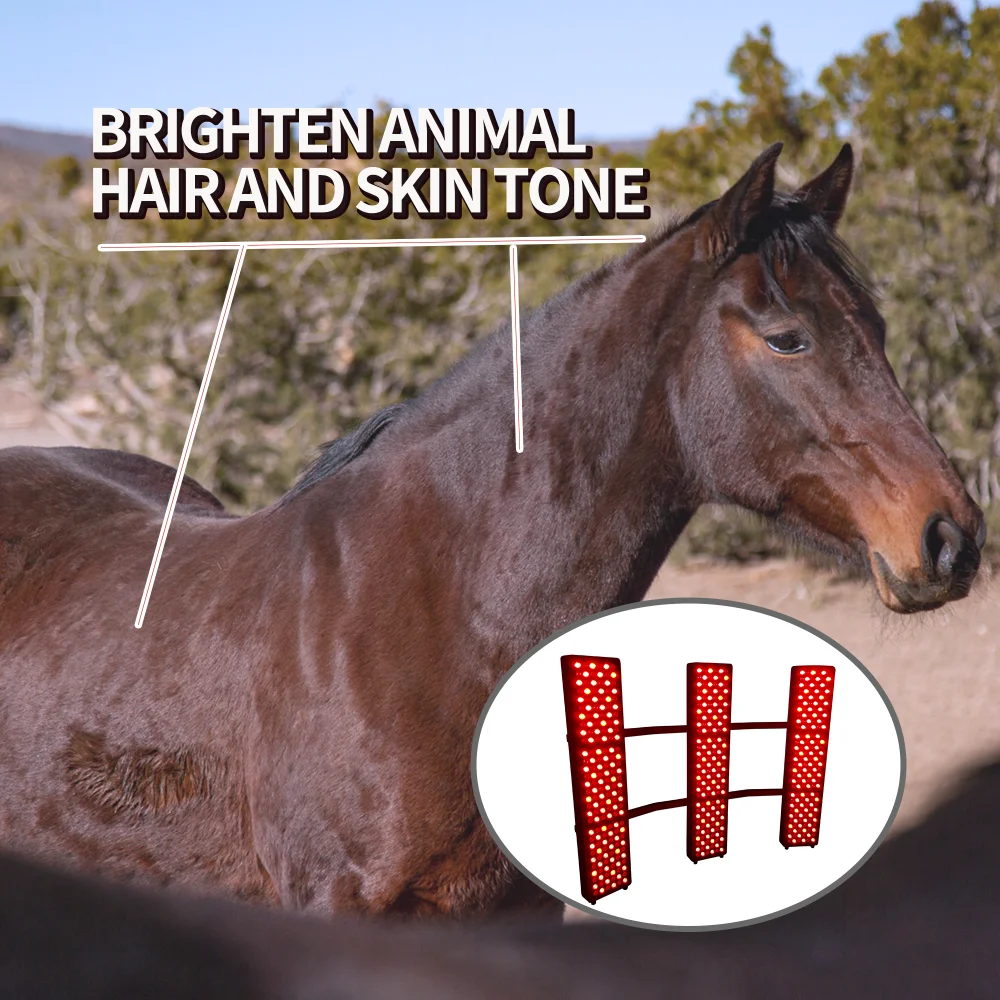 Stable Horse Full Body Therapy Solarium Pony Light Therapy Red Infrared Horse Light Horse Solarium