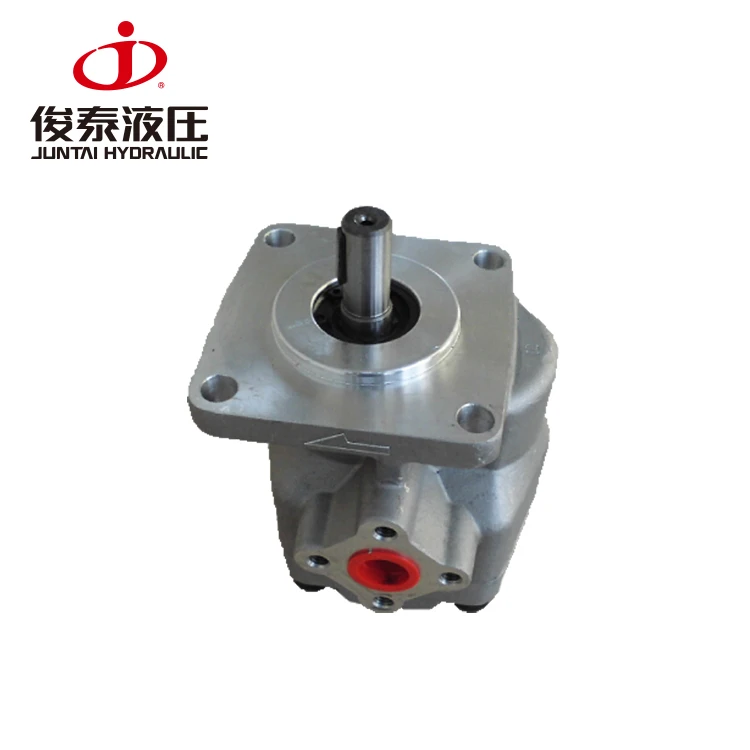 
High Precision Mini Hydraulic Gear Pump 210 Bar for Small Hydraulic System 