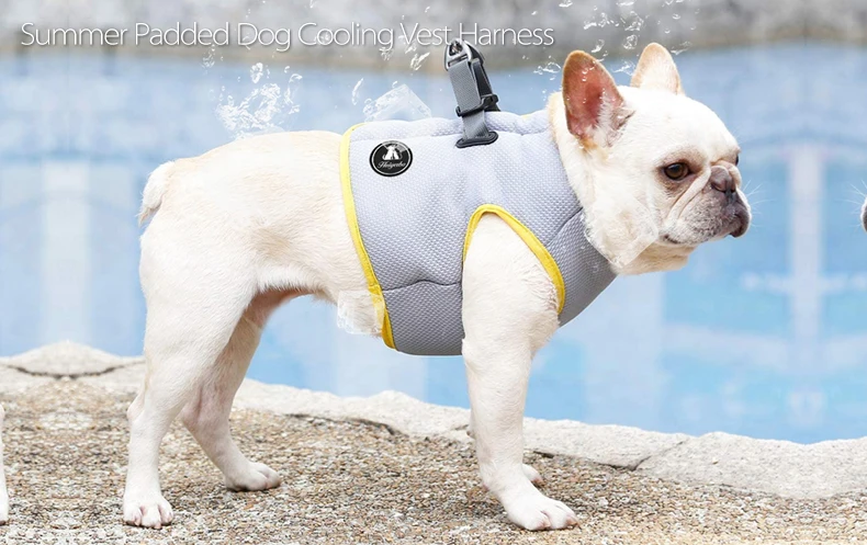3 dog cooling harness.jpg