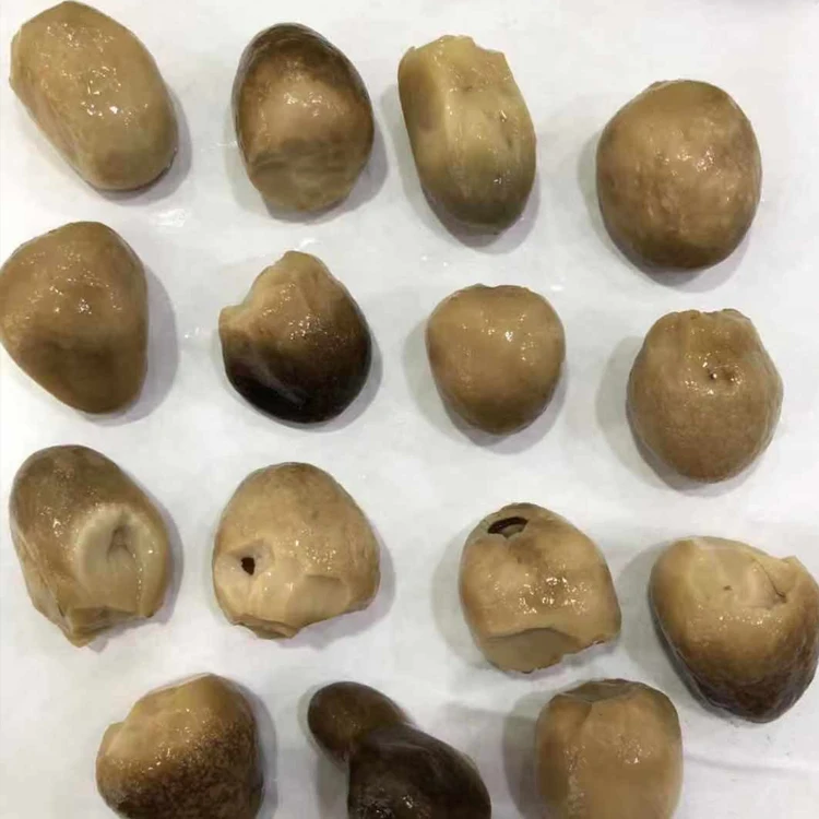 canned chinese straw mushroom whole in brine