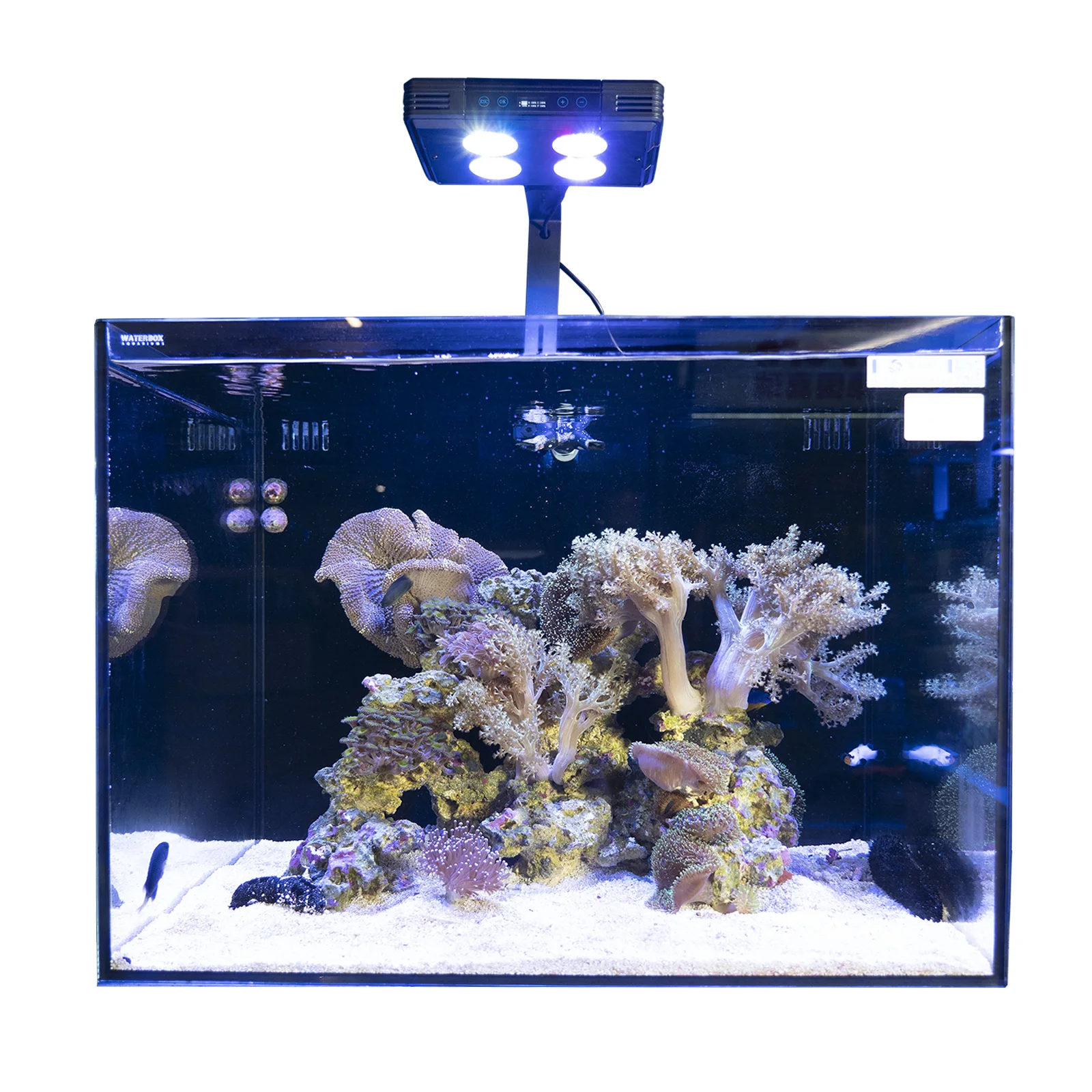Raybow upgraded aquarium lights 52W Full Spectrum LED Lights Saltwater Aquarium lighting lamp for Reef Growth