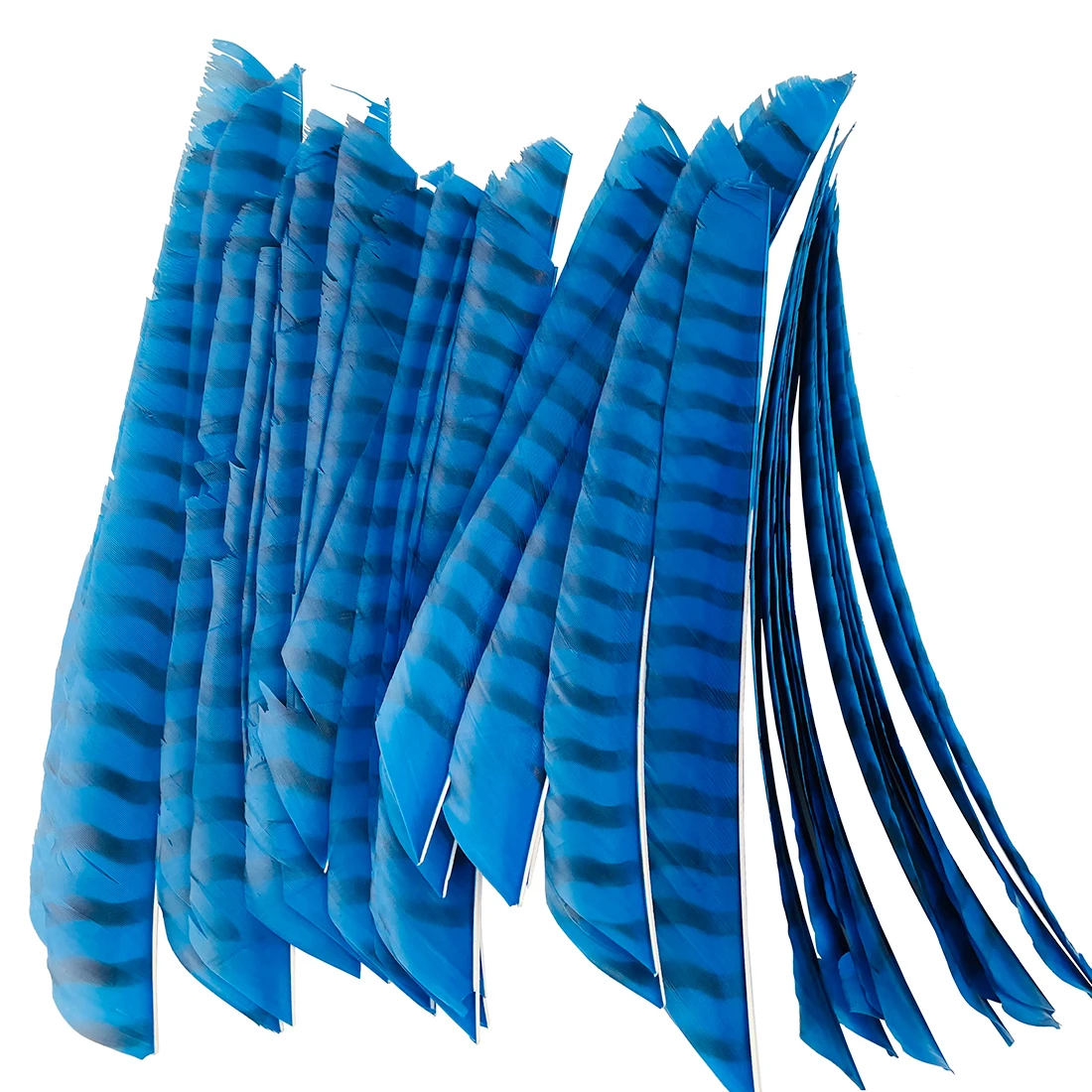 Full Length Right Wing Archery Arrow Feathers Colorful Stripe Turkey Feather Hunting and Shooting Arrow Feather DIY Outdoor