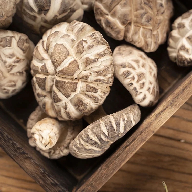 China Dried shiitake mushroom Whole Dried package Organic Shiitake Mushroom