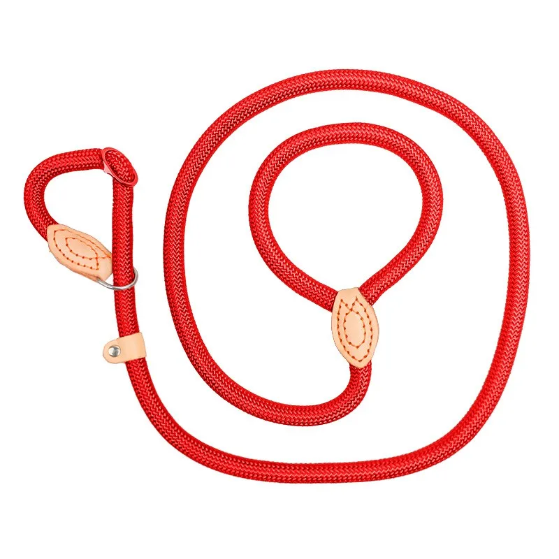 Hot pet dog rope nylon seam leather explosion-proof punch P rope lengthened thick training dog leash