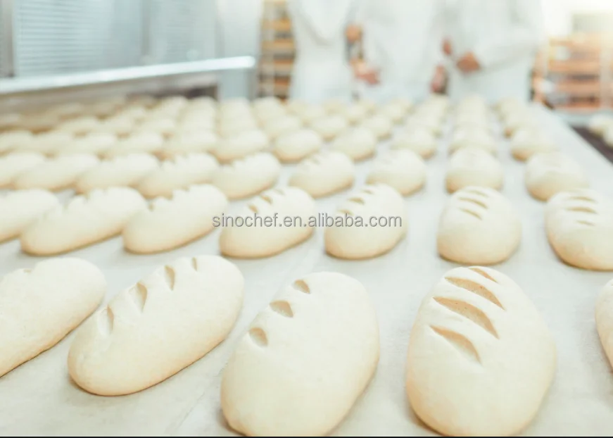 Commercial 20 PCS Hydraulic Dough Divider for bread factory price direct sale