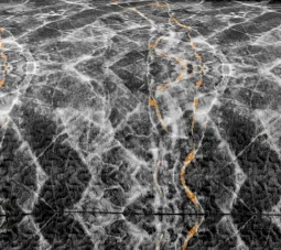 Professional Manufacture Durable artistic black and white Printed Quilts Bedding Bedspreads Luxury Set Sale Quilt Cover