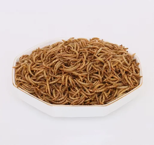 All Natural Dry Whitefly Dry Mealworms in Bulk Animal Feed