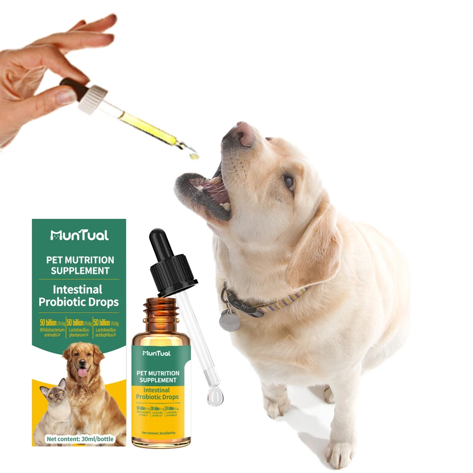 Dog and cat probiotics supplement immune system intestinal digesting function Reduce Diarrhea probiotic drops