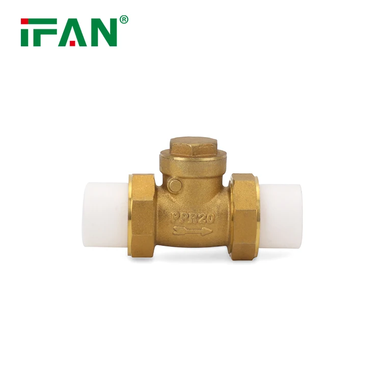 IFAN Free Sample Spring Check Valve 1/2 Inch Check Valve Vertical Non Return Check Valve