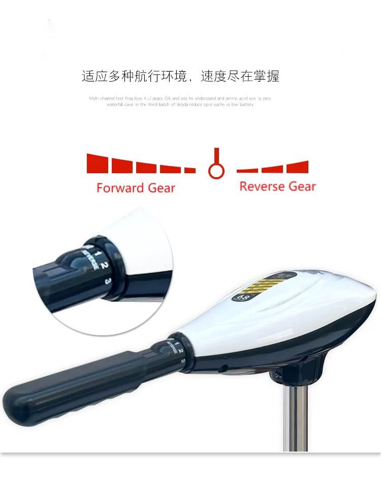 For Boat Sale Professional 12V 24V Brushless Electric Outboard Motor Boat Engine