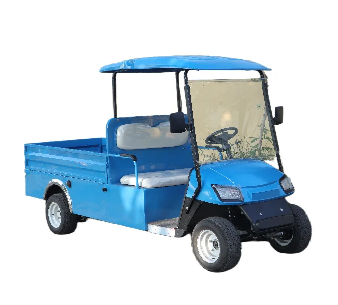 60V lead-acid battery  3.5KW AC motor 2-seater Electric Golf Cart  with a large cargo bed