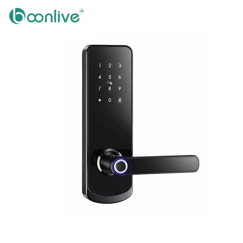 Boonlive Shenzhen Wireless Wifi Remote APP Door Lock House Building Smart Access Door Lock Apartment Bluetooth Lock